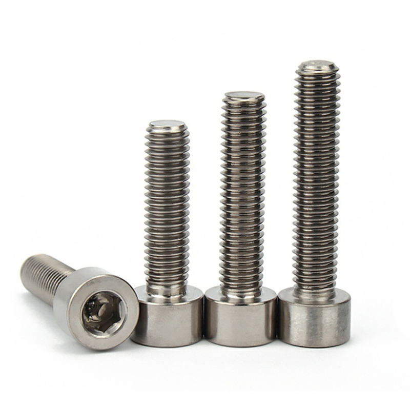 Plain Titanium Socket head machine screws